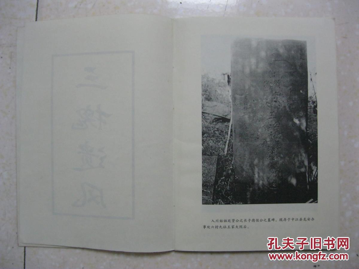 明日方舟初雪职业 初雪图鉴|开云平台官网(图1) 开云平台官网