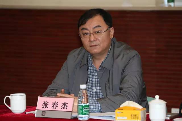 明日方舟初雪职业 初雪图鉴|开云平台官网(图3) 开云电竞